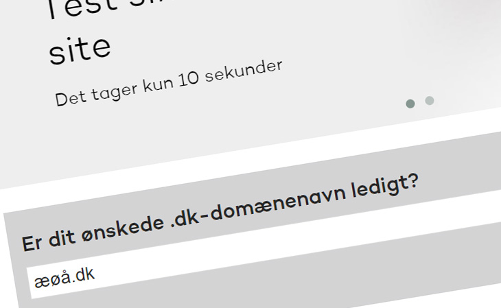 Alt om ÆØÅ og specialtegn i .dk domæner