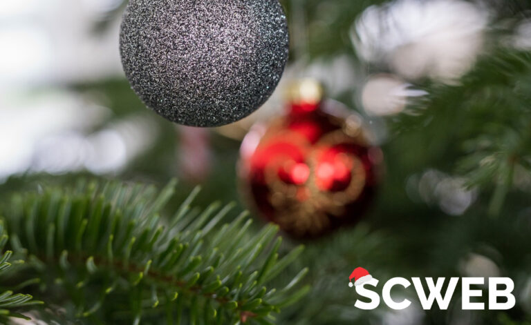 Glædelig jul og et godt nytår